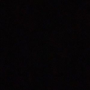 Meet your Posher, Lexie